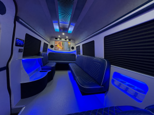 Blue LED-lit van conversion interior with starlight ceiling and Luxury Group branded entertainment screen